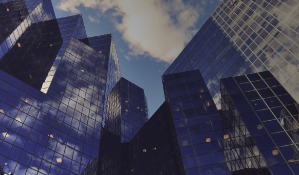 Business Development
